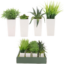 Plante decor in ghiveci 317002080