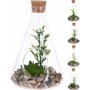 Decor planta in sticla 9x14 cm, HZ1950510