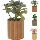 Planta decorativa in ghiveci 19cm, HZ1952420