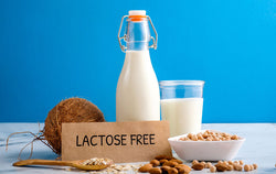 O netoleranciji na laktozu