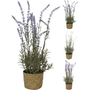 Lavanda decor in ghiveci 46 CM 317221160