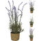 Lavanda decor in ghiveci 46 CM 317221160