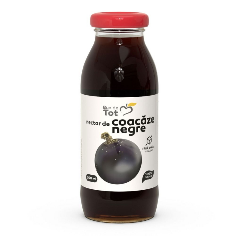 Dacia Plant Coacaz negru nectar fara zahar  300ml SGR