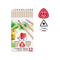 Ico arici creioane color triunghiulare natur /12 jumbo