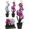 Orhidee decor in ghiveci 38CM 317002680