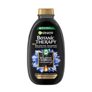 Garnier Botanic Therapy Magnetic Charcoal & Black Seed Oil šampon, 250 ml