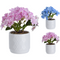 Decor planta in ghiveci 495200000