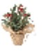 Decor X-mas planta 28cm 317910720