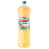 Giusto 2L Natura Ananas Baut.Racor.Pet Sgr