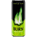 Burn 0.25L Apple Kiwi Energizant Dz Sgr