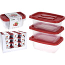 Pachet cutii alimentare din plastic 1130ml, 3 bucati