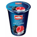 Müller Joghurt mit Brombeeren und Himbeeren 500g