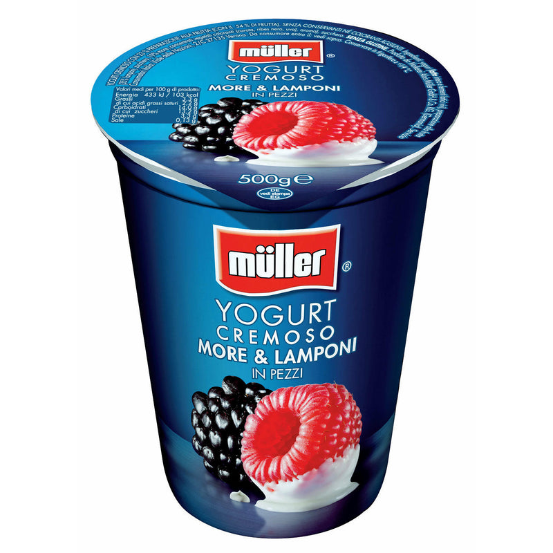 Muller iaurt cu mure si zmeura 500g