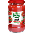 Valenii de Munte Tomatenmark, 310g