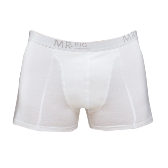 Mr big boxer barbat 201 M, alb