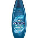 Schauma Men Meeresmineralien + Aloe Vera, 400 ml