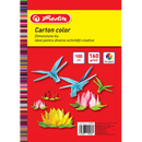 Carton color a4 160gr top 100 diverse culori