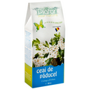 Plafar ceai de paducel cu flori, 50g