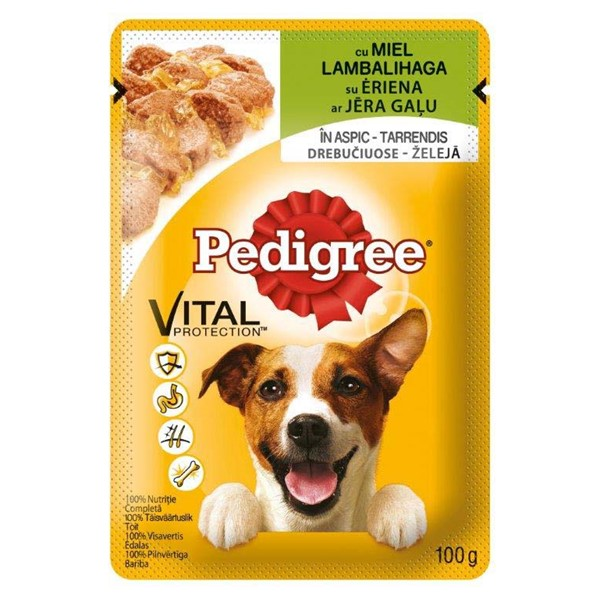 Pedigree plic pouch adult Miel, 100 g