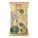 Substrat pentru cactusi si plante suculente, Dr Soil, 1 L