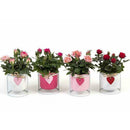 Aranjament Rosa E7972