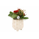 Kalanchoe, aranjament Valentines Day