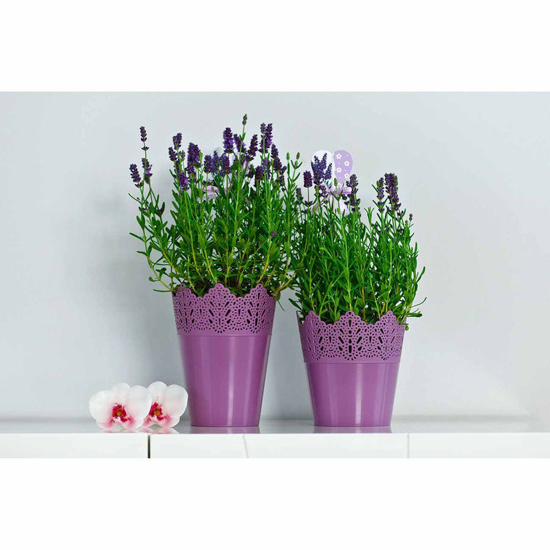 Koronka ghiveci dantelat din plastic mov, 16.5 cm