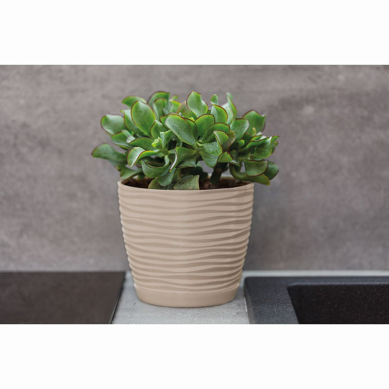 Sahara ghiveci plastic bej, 11 cm
