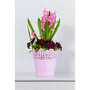 Koronka ghiveci dantelat din plastic roz, 16.5 cm