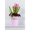 Koronka ghiveci dantelat din plastic roz, 16.5 cm