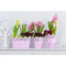Koronka ghiveci dantelat din plastic roz, 12 cm