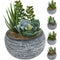 Planta artificiala in ghiveci 11x15 cm, 321000050