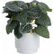 Planta decorativa in ghiveci 495200020