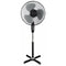 Fan with foot and timer Esperanza EHF001KE Hurricane, 50W, 3 speeds, black/grey