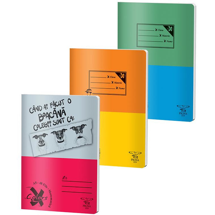 Pigna Caiet matematica A5, 48 file, Basic