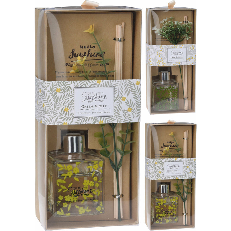 Difuzor de aroma pentru camera 100ml