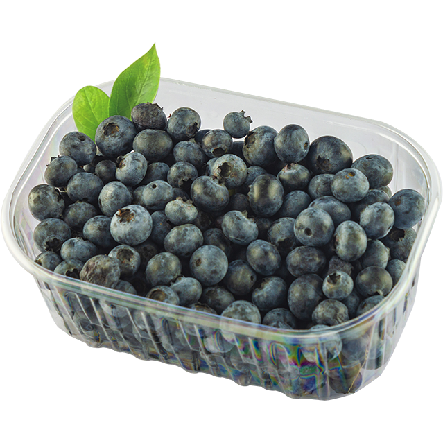 Afine ecologice 250g