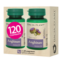 Dacia Plant Anghinare 2*60 comprimate