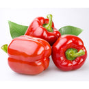 California red bell peppers, per kg
