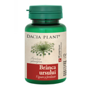 Dacia Plant Branca ursului 60 comprimate
