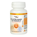 Biljka Dacia kao organski mg s tabletama vitamina D 60