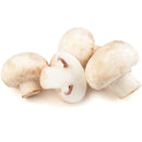 Ciuperci Champignon caserola 1kg