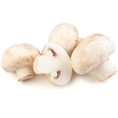 Mushrooms Champignon casserole 1kg