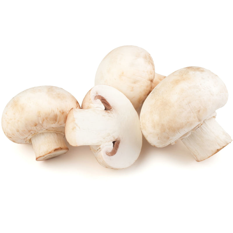Ciuperci Champignon caserola 500g