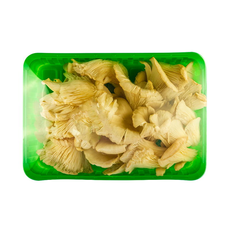 Ciuperci Pleurotus caserola 500 g