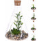 Decor planta in sticla 9x14 cm, HZ1950510