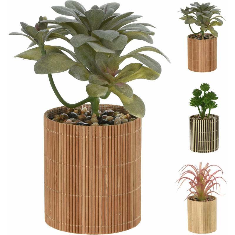 Planta decorativa in ghiveci 19cm, HZ1952420
