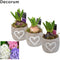 Hyacint little love hl10410