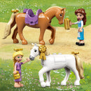 Lego Disney Princess: Grajdurile regale ale lui Belle si Rapunzel 43195