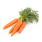 Carrots, for binding